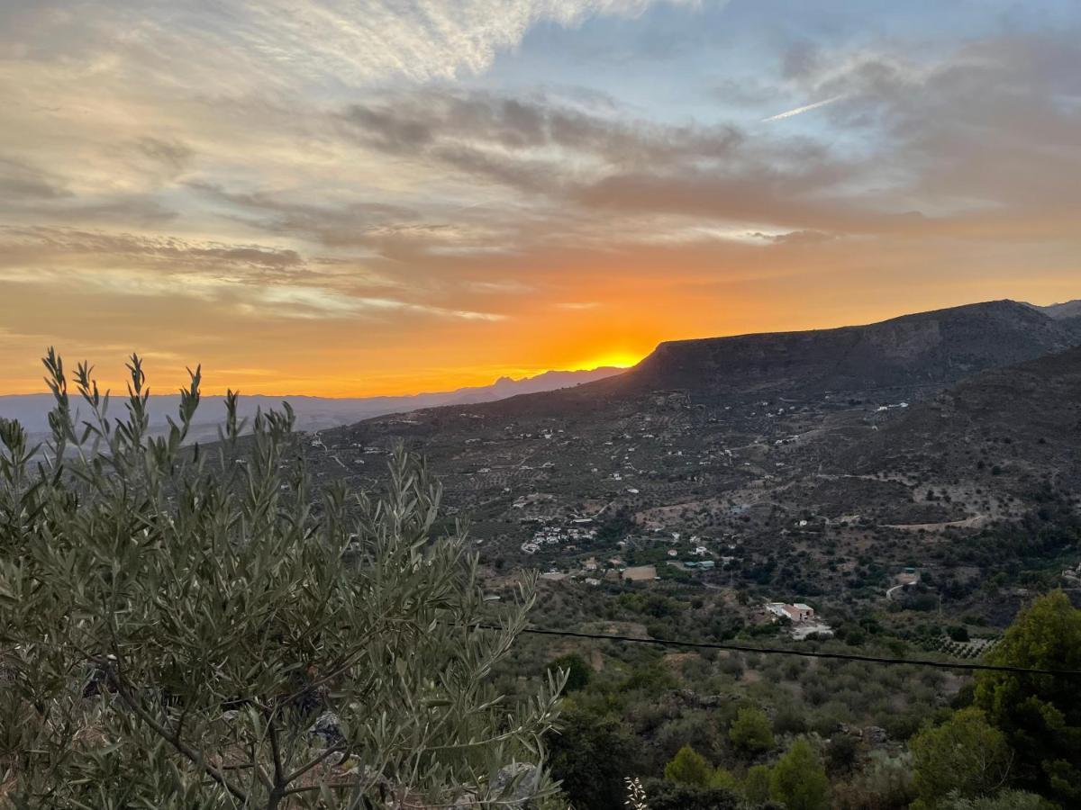 Boutique B&B El Refugio Alcaucin Luaran gambar