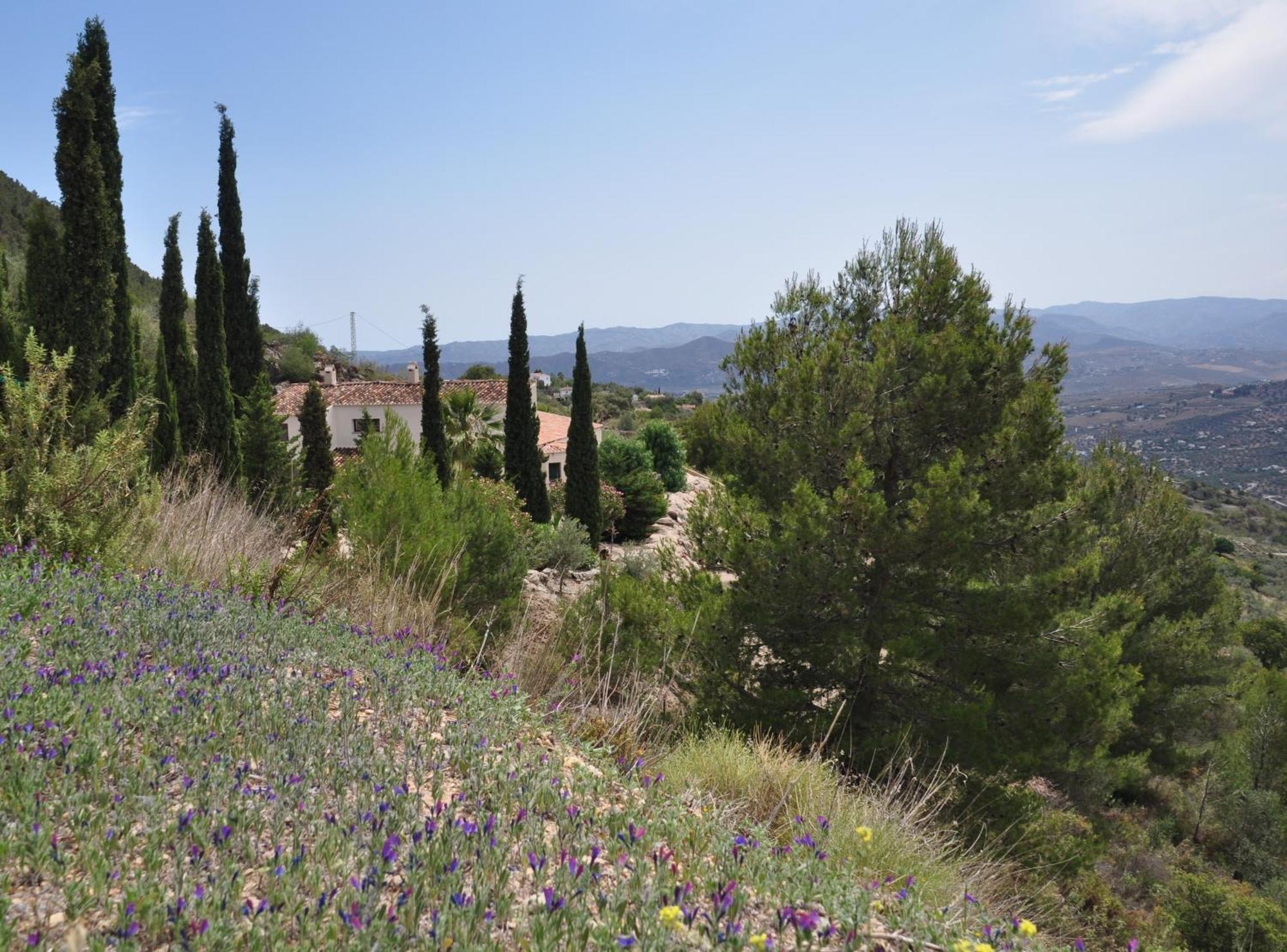 Boutique B&B El Refugio Alcaucin Luaran gambar